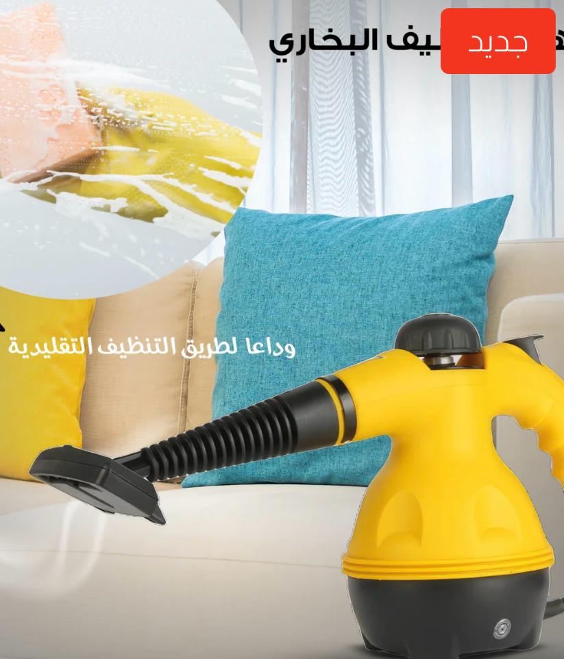 Steam Cleaner